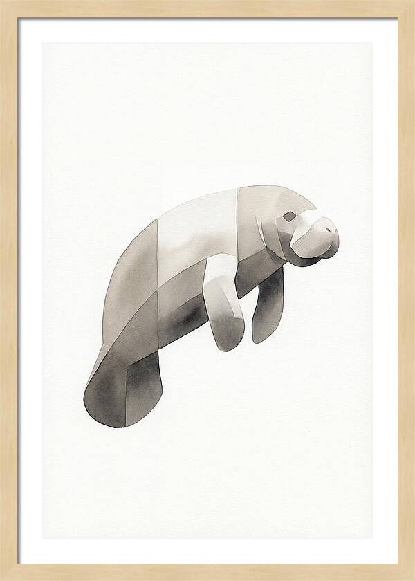 Manatee Minimalism