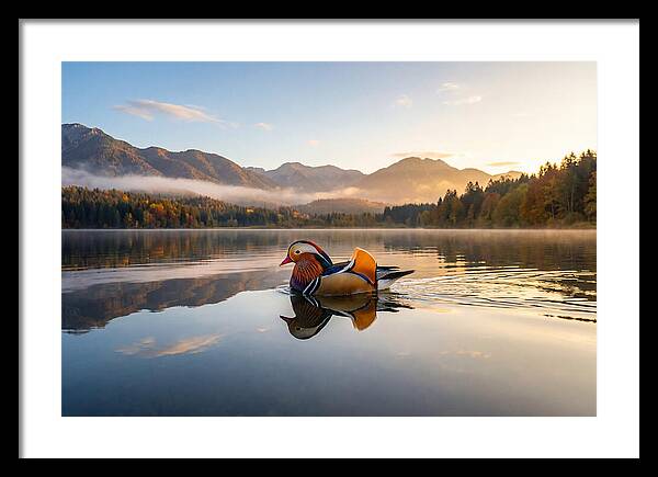 Mandarin Duck Gliding Through Serenity