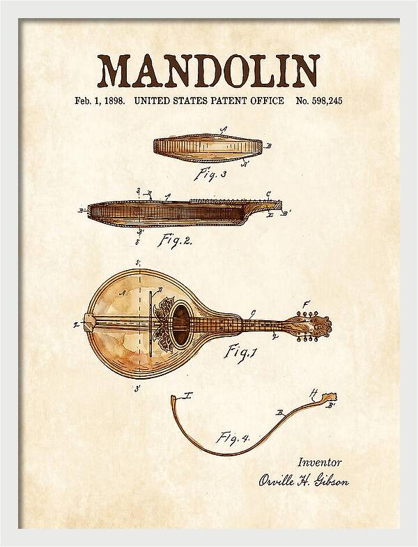 Mandolin Watercolor Patent Us598245a