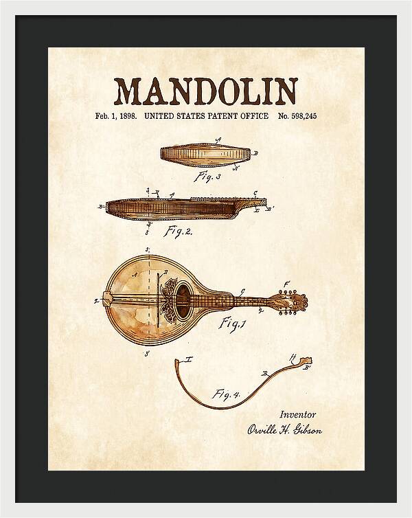 Mandolin Watercolor Patent Us598245a