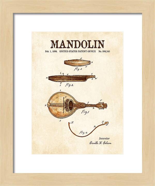 Mandolin Watercolor Patent Us598245a