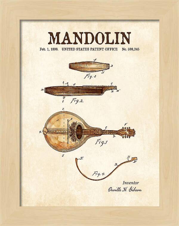 Mandolin Watercolor Patent Us598245a
