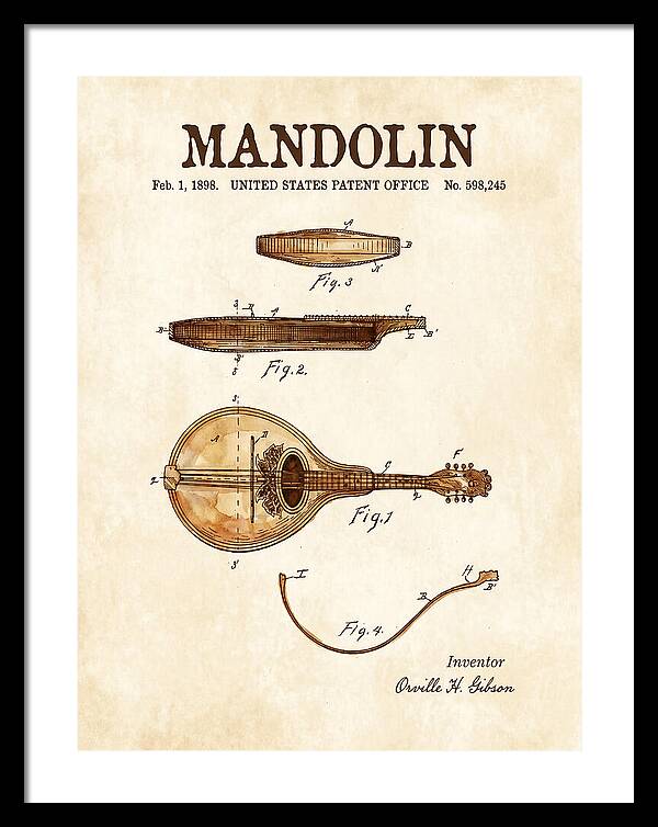 Mandolin Watercolor Patent Us598245a