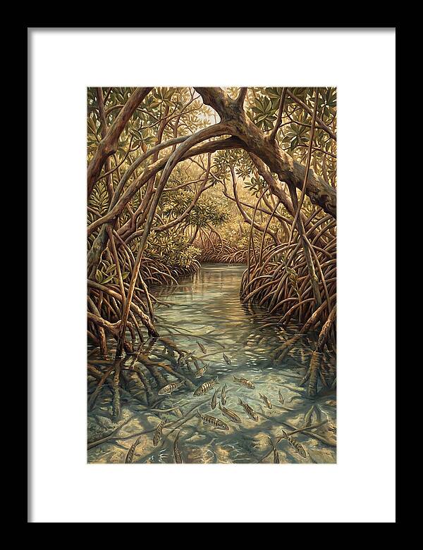 Mangrove Channel Serenity