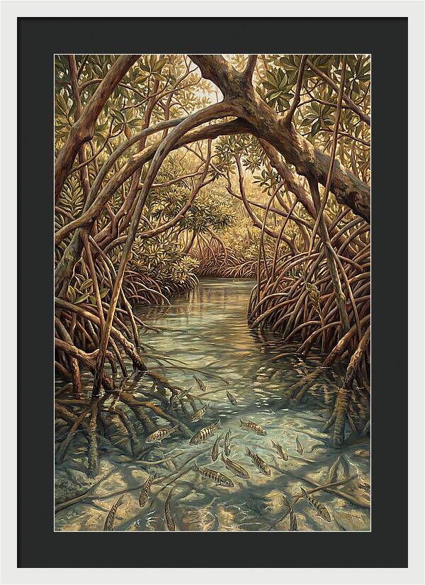 Mangrove Channel Serenity