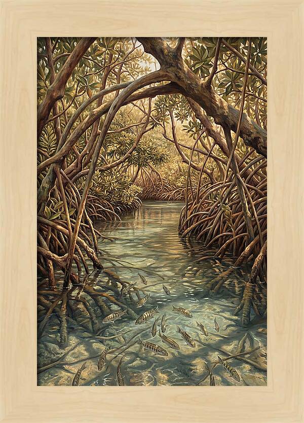 Mangrove Channel Serenity