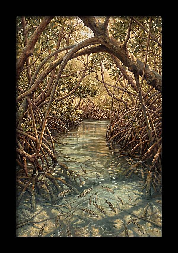 Mangrove Channel Serenity