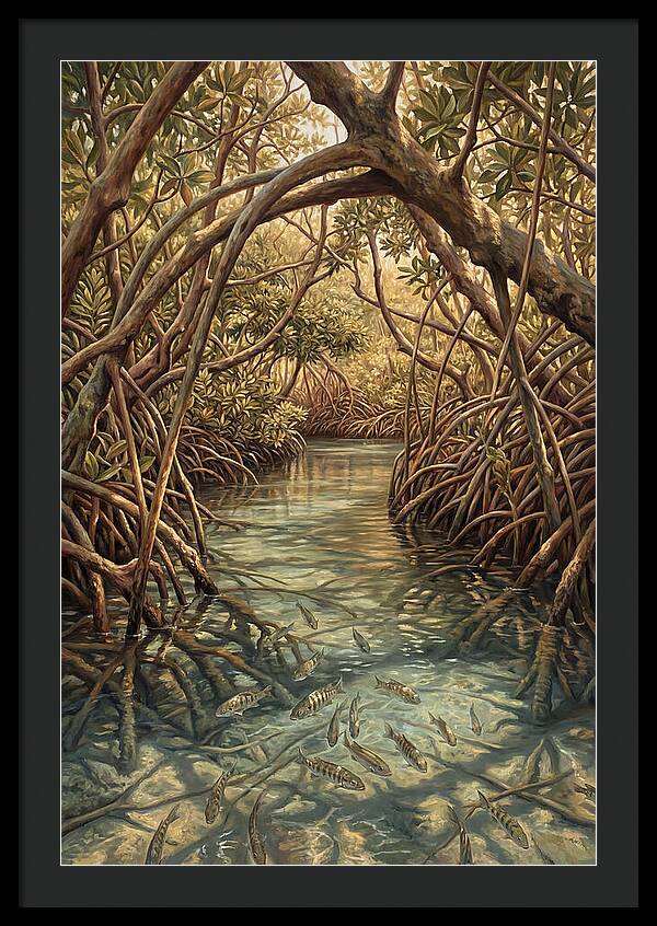 Mangrove Channel Serenity