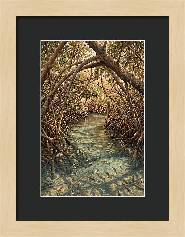 Mangrove Channel Serenity