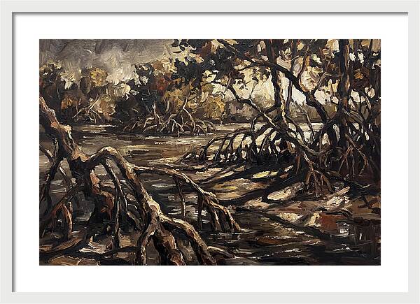 Mangrove Roots Emerging From Water