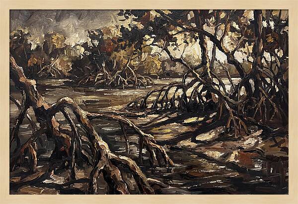 Mangrove Roots Emerging From Water
