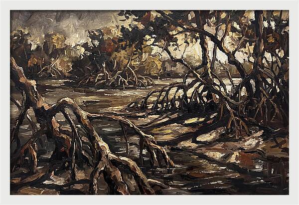 Mangrove Roots Emerging From Water