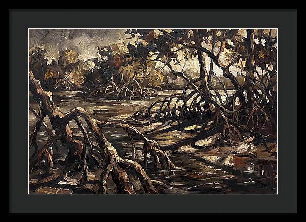 Mangrove Roots Emerging From Water