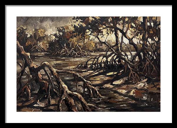Mangrove Roots Emerging From Water