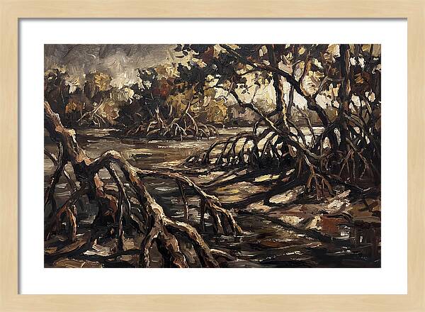 Mangrove Roots Emerging From Water