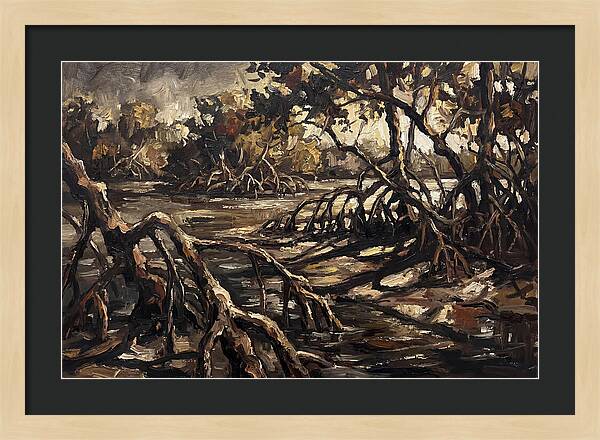 Mangrove Roots Emerging From Water