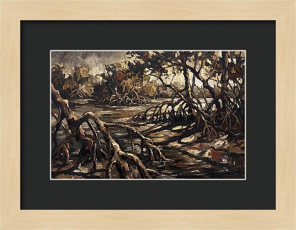 Mangrove Roots Emerging From Water