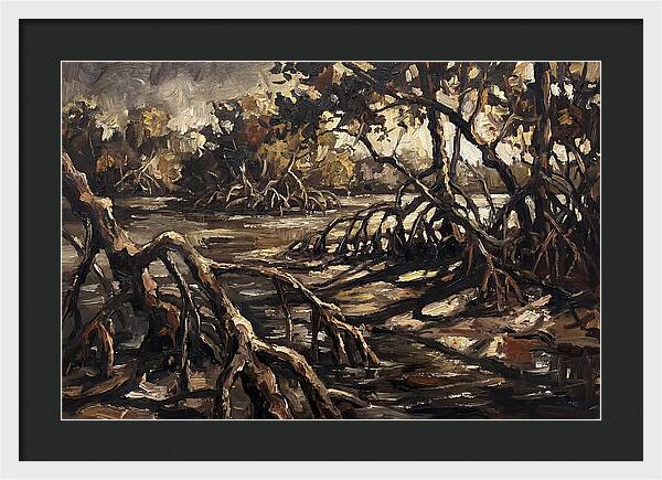 Mangrove Roots Emerging From Water