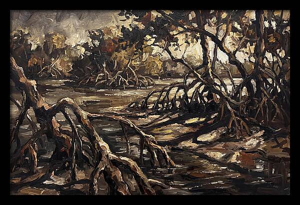 Mangrove Roots Emerging From Water