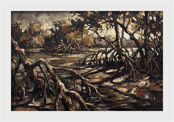 Mangrove Roots Emerging From Water