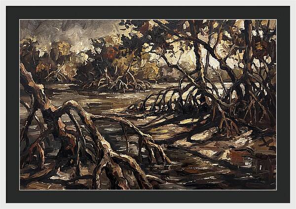 Mangrove Roots Emerging From Water