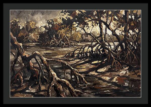 Mangrove Roots Emerging From Water