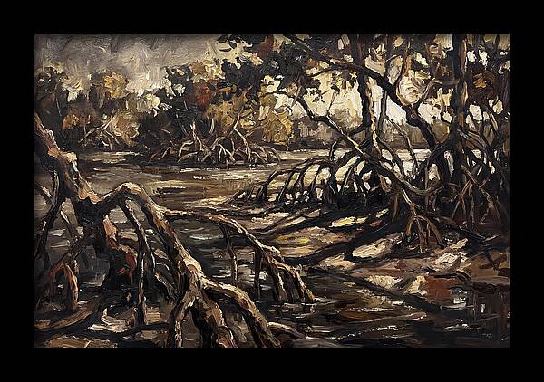 Mangrove Roots Emerging From Water