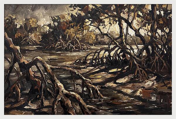 Mangrove Roots Emerging From Water
