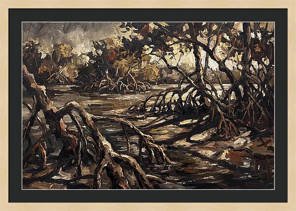 Mangrove Roots Emerging From Water