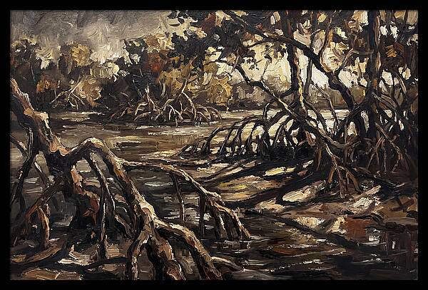 Mangrove Roots Emerging From Water