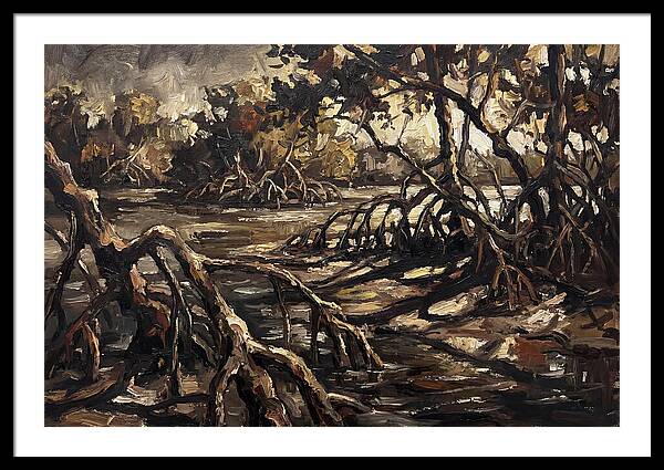 Mangrove Roots Emerging From Water