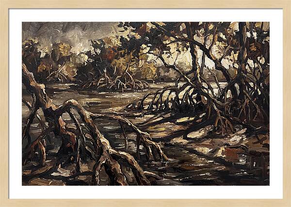 Mangrove Roots Emerging From Water