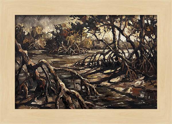 Mangrove Roots Emerging From Water
