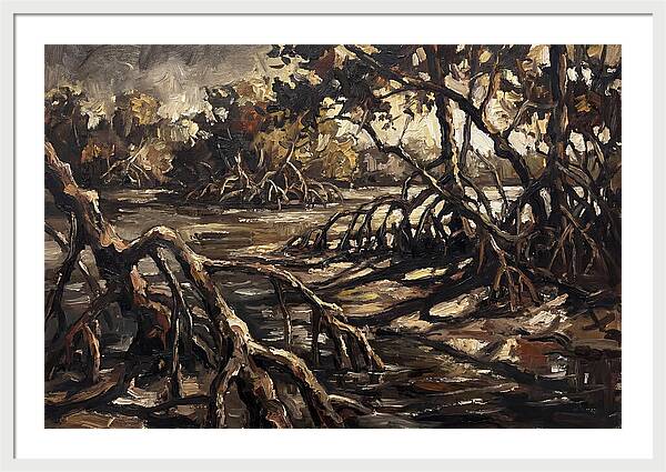 Mangrove Roots Emerging From Water
