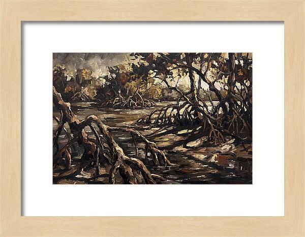 Mangrove Roots Emerging From Water