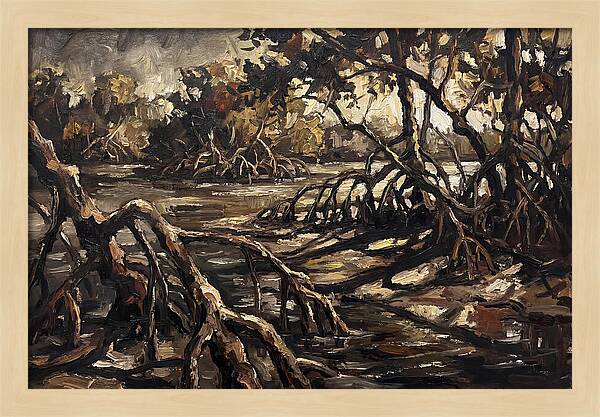 Mangrove Roots Emerging From Water