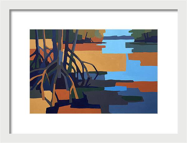 Mangrove Roots In Water