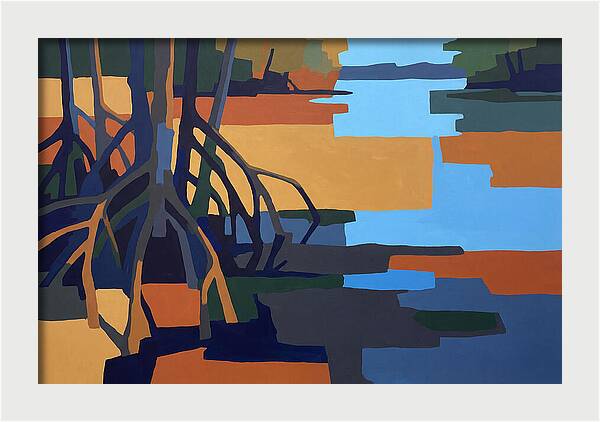 Mangrove Roots In Water