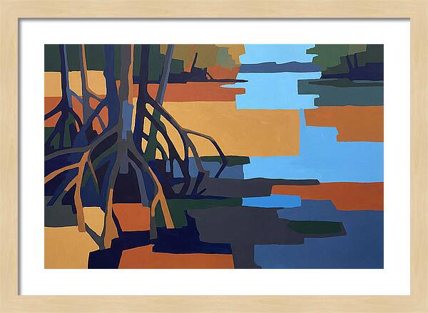 Mangrove Roots In Water
