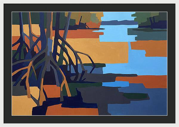 Mangrove Roots In Water
