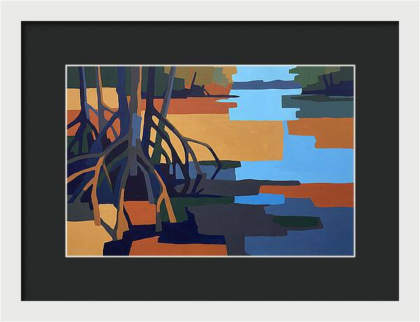 Mangrove Roots In Water
