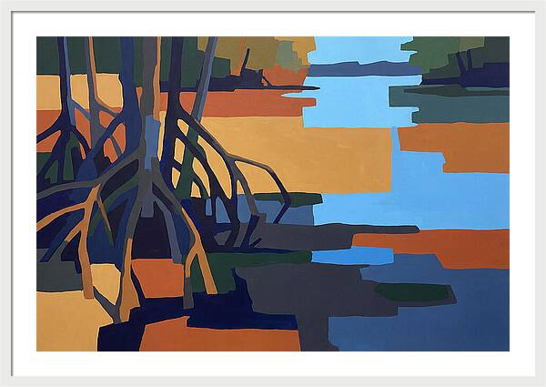 Mangrove Roots In Water