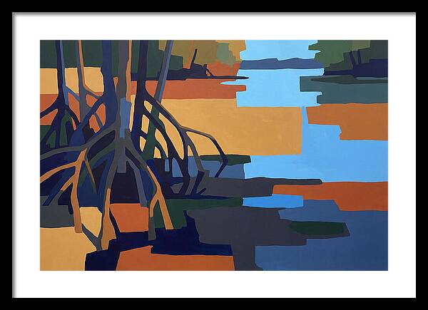 Mangrove Roots In Water