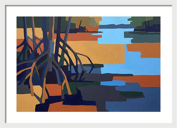 Mangrove Roots In Water
