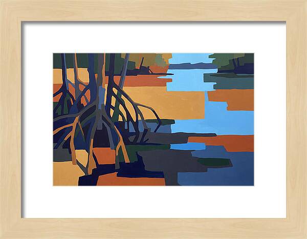 Mangrove Roots In Water