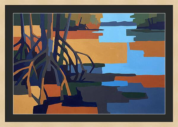 Mangrove Roots In Water