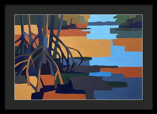 Mangrove Roots In Water
