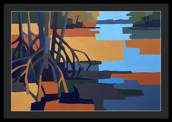 Mangrove Roots In Water