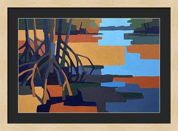 Mangrove Roots In Water