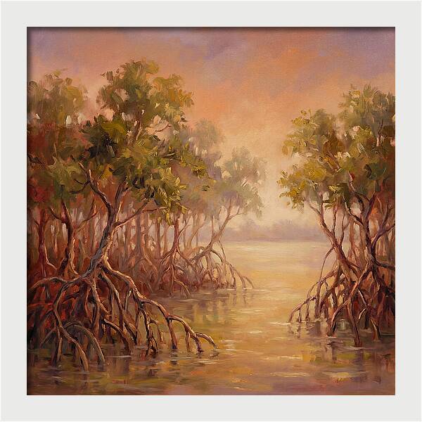 Mangrove Serenity At Dusk
